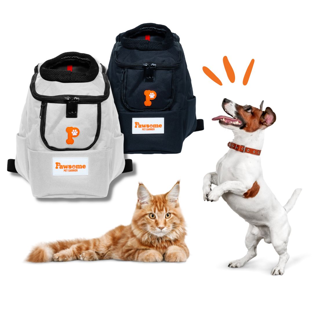 Pawsome Pet Carrier